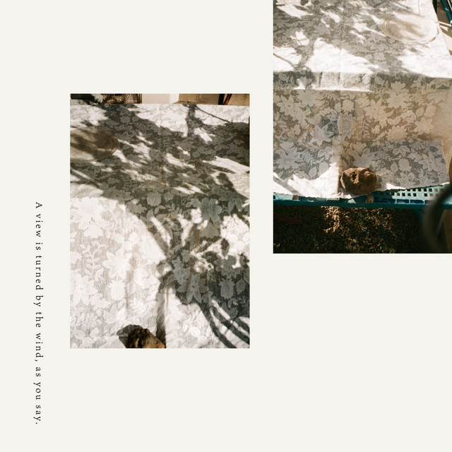 A view is turned by the wind, as you say. cover art