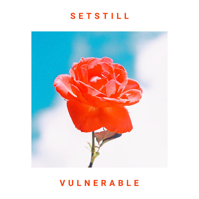 Vulnerable cover art