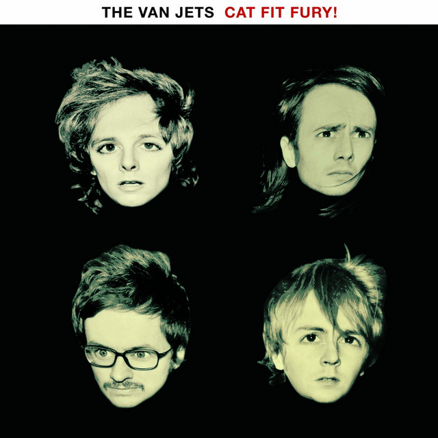 Cat Fit Fury! cover art