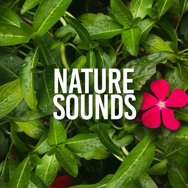 Nature Sounds cover art