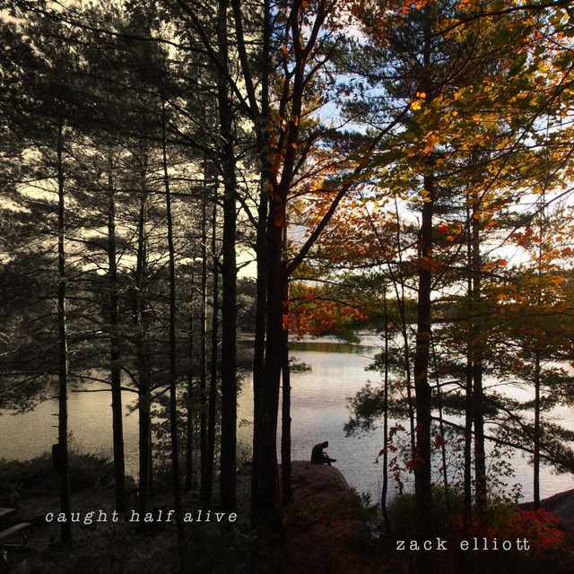 Caught Half Alive (Deluxe Edition) cover art