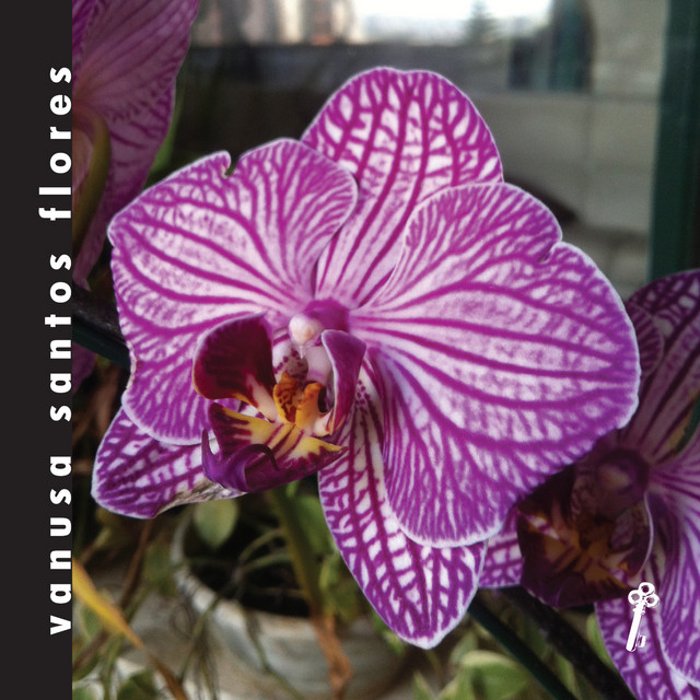 Vanusa Santos Flores album image