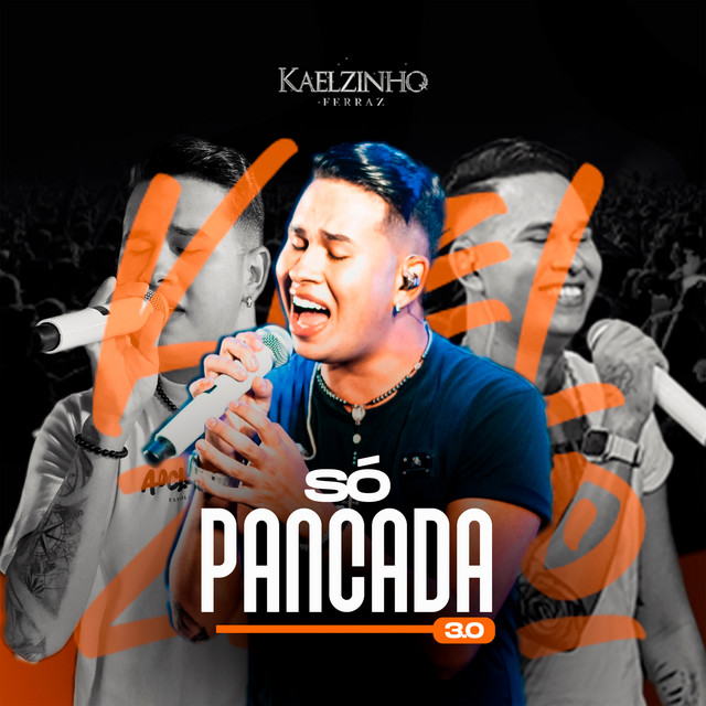 Só Pancada 3.0 cover art