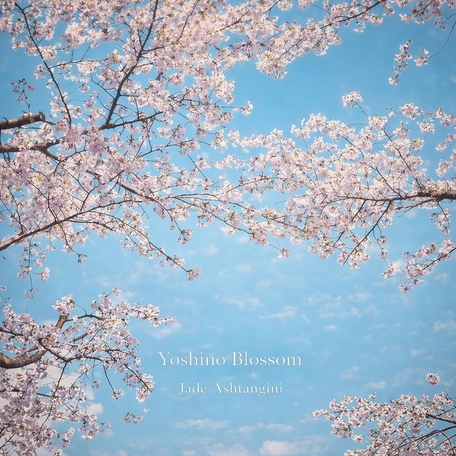 Yoshino Blossom