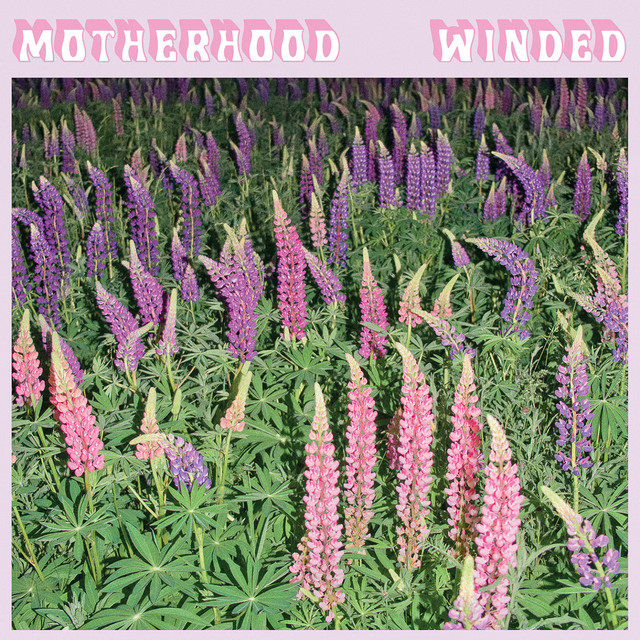 Winded cover art