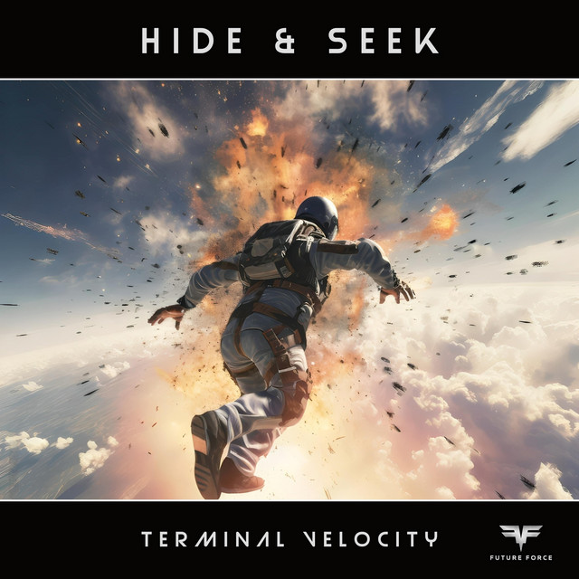 Terminal Velocity - Original Miz album art