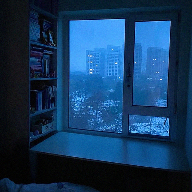 alone in the blue hour. cover art