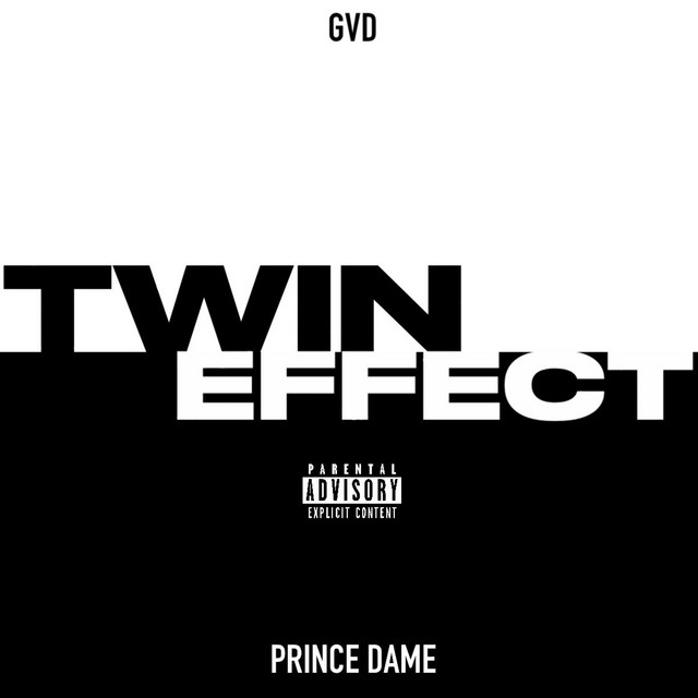 TWIN EFFECT cover art