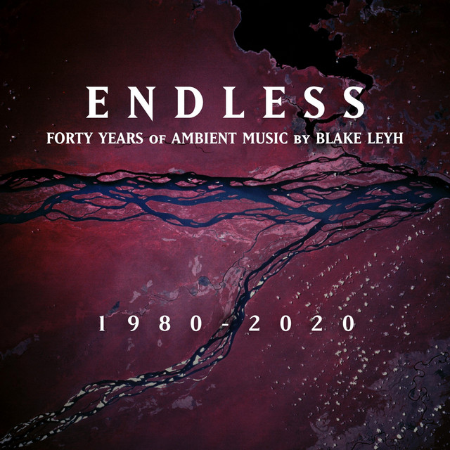Endless cover art