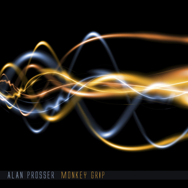 Monkey Grip cover art