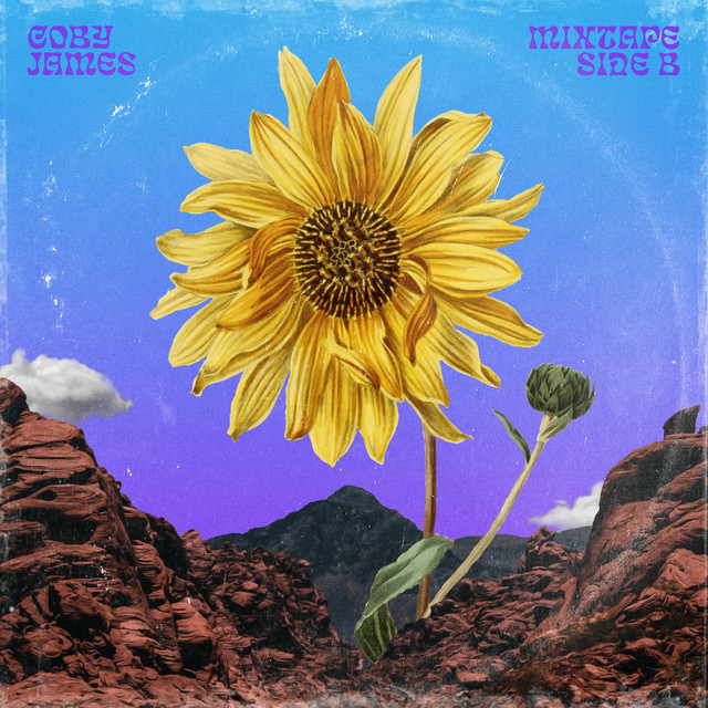 Try (feat. Ashlyn Levoy)