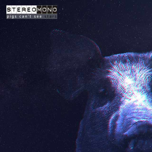 STEREOMONO