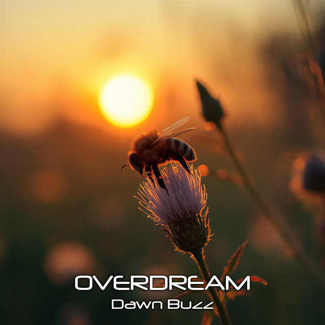 Обкладинка: Dawn Buzz — Overdream
