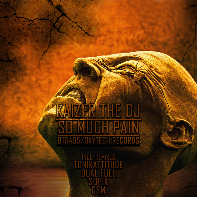So Much Pain cover