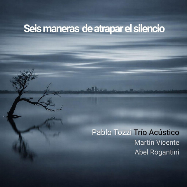 Seis maneras de atrapar el silencio cover