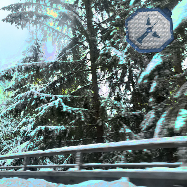 sever cover art