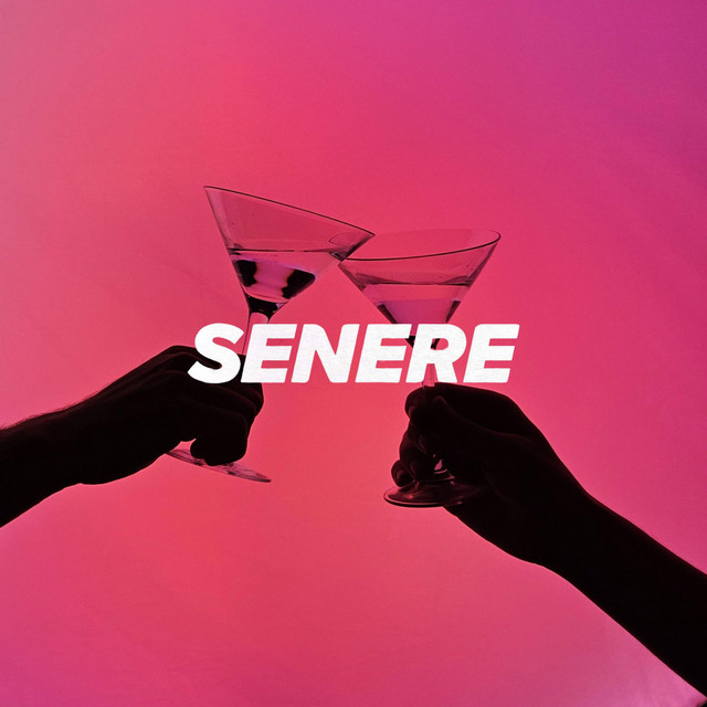 Senere cover art