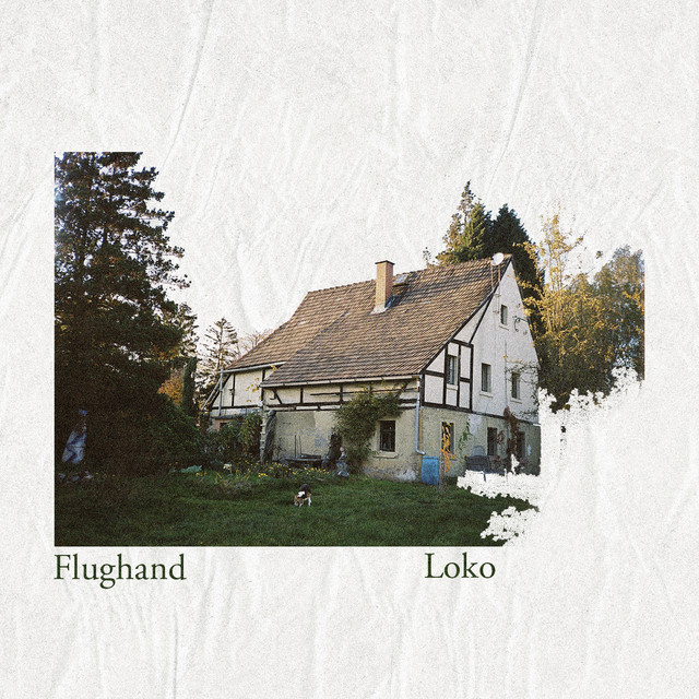 Loko - Single by Flughand | Spotify