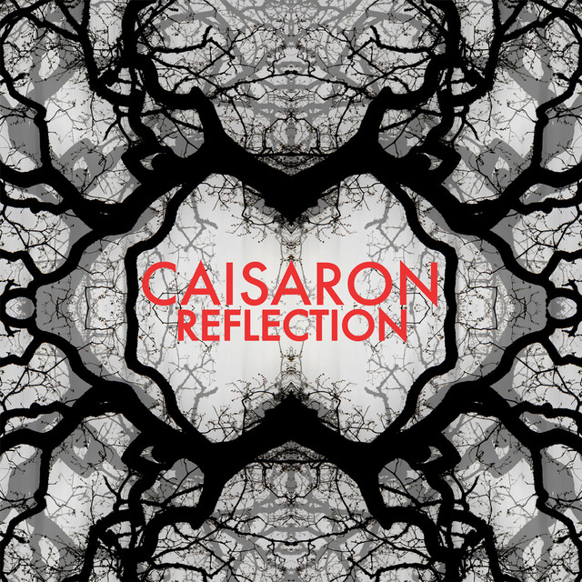 Reflection cover art