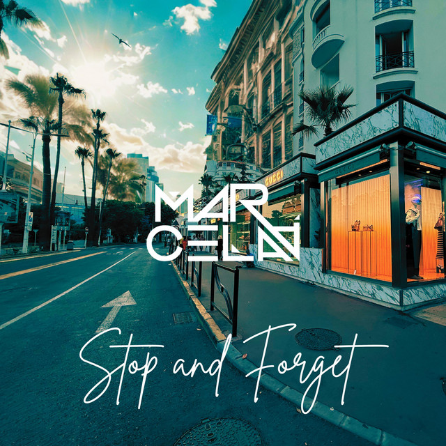 Stop And Forget cover art