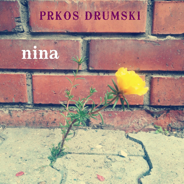 Prkos Drumski Photo