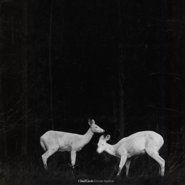 Fermata Supreme cover art