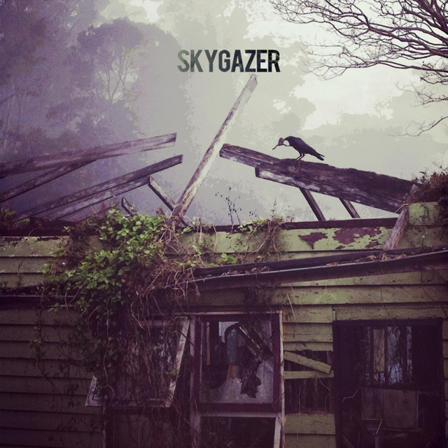Skygazer cover