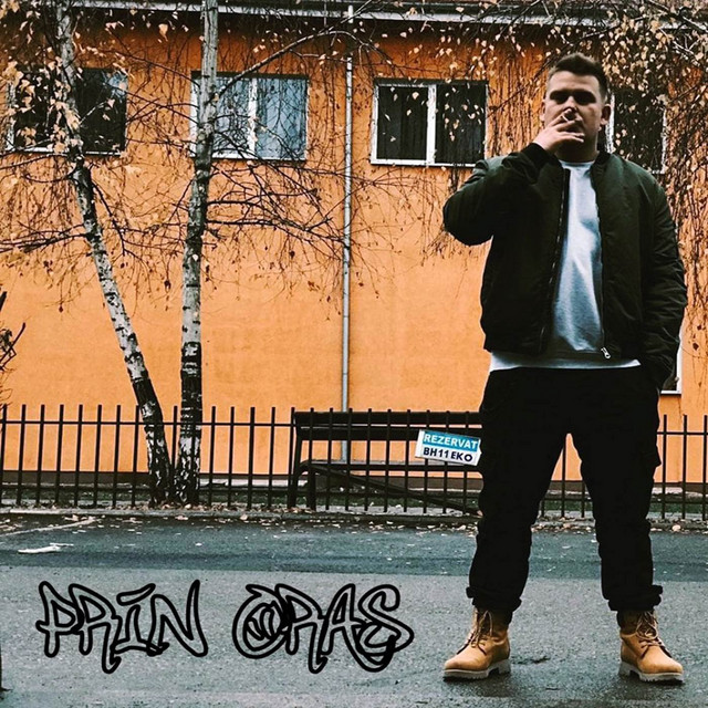 Prin Oraş cover art