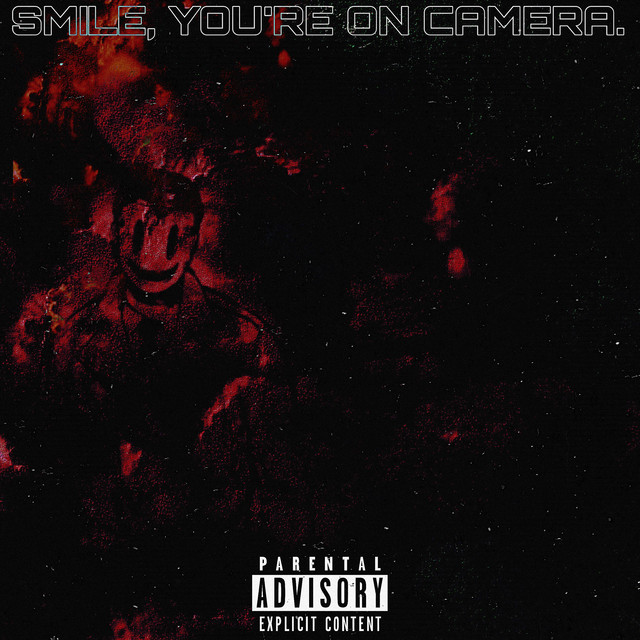 Smile, You're On Camera. cover art
