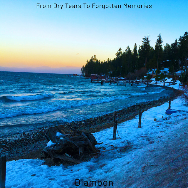 From Dry Tears to Forgotten Memories cover art