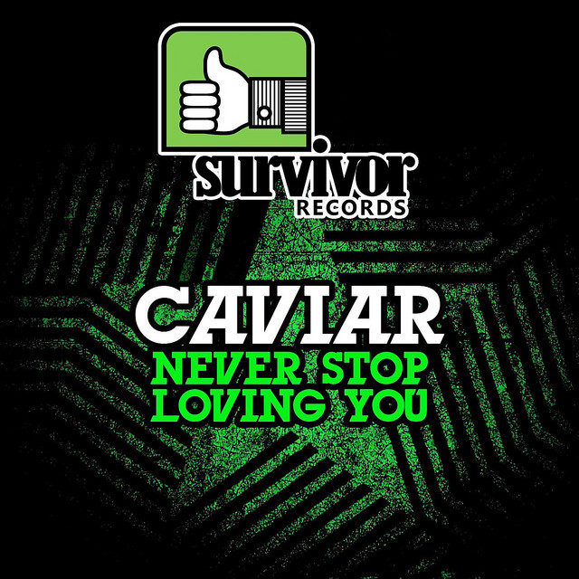 Never Stop Loving You cover art
