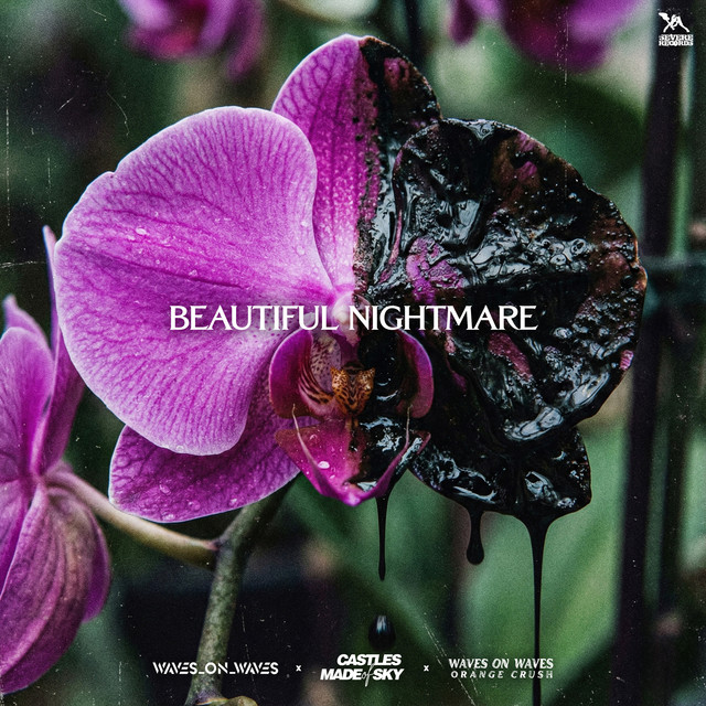 Beautiful Nightmare cover