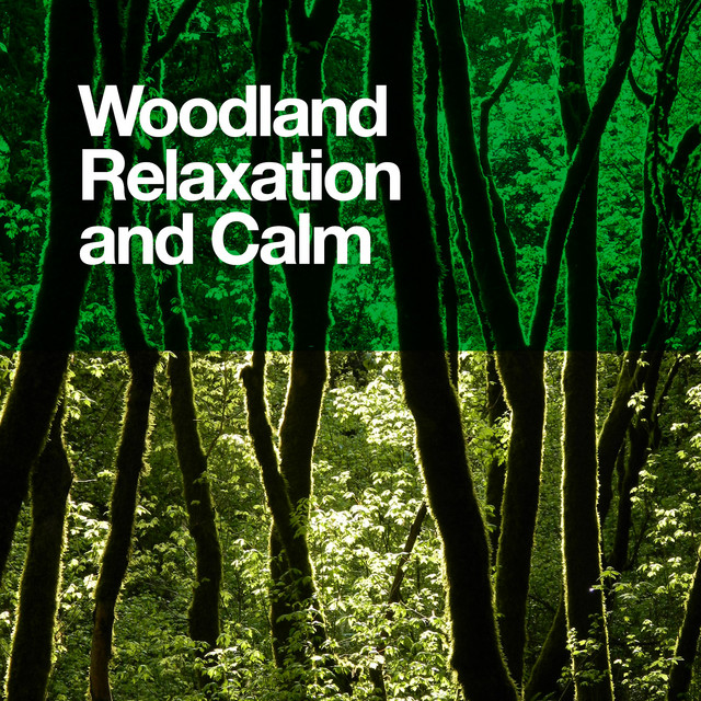 Woodland Relaxation and Calm cover