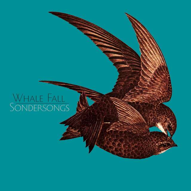 Sondersongs cover art