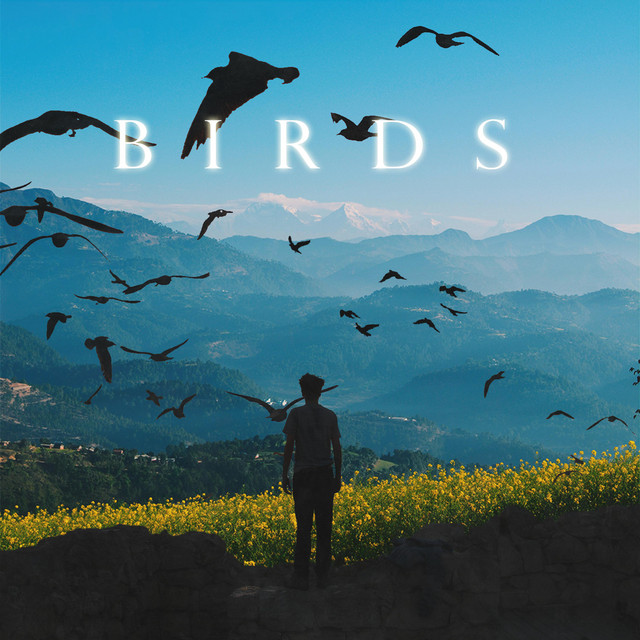 Birds cover