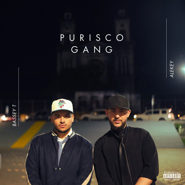 PURISCO GANG cover art