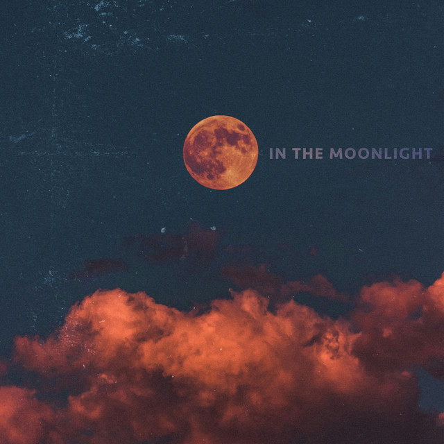In The Moonlight cover