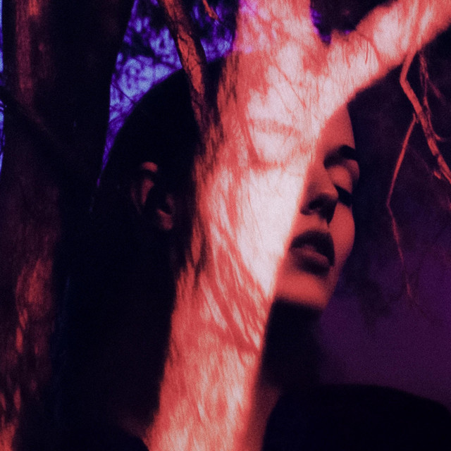VEINS