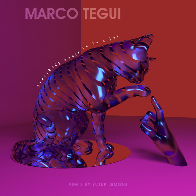 Everybody wants to be a kat - Yusuf Lemone Remix album art
