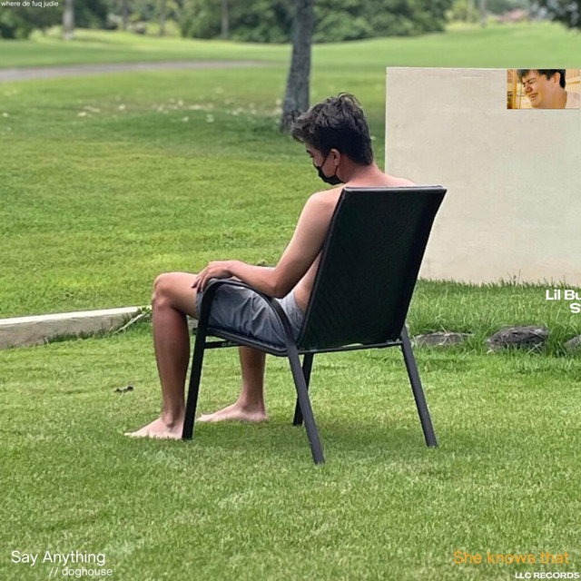 Say Anything // Doghouse cover art