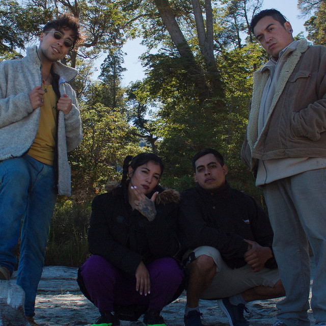 Vuela cover art