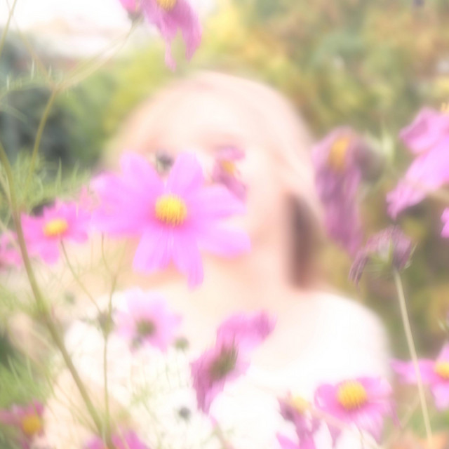 Princesse Lee cover art