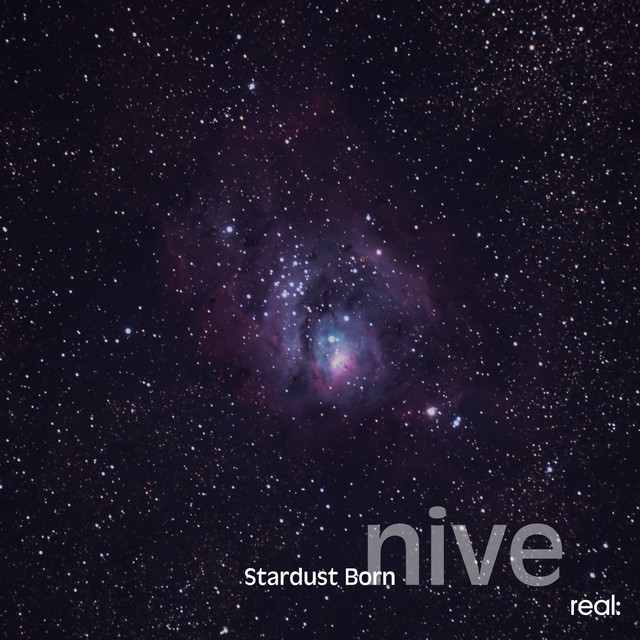 Stardust Born cover art