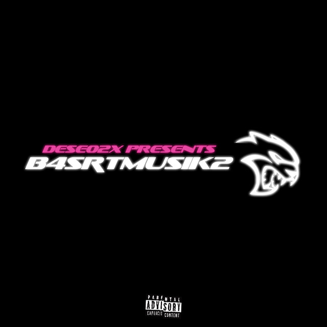 B4SRTMUSIK2 cover art