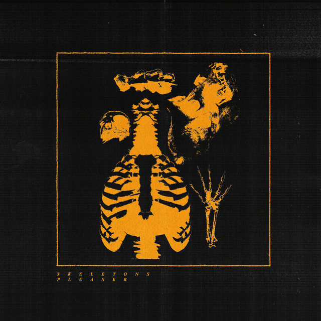 Skeletons cover art