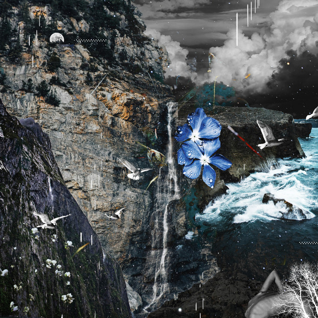 Finite Species cover art