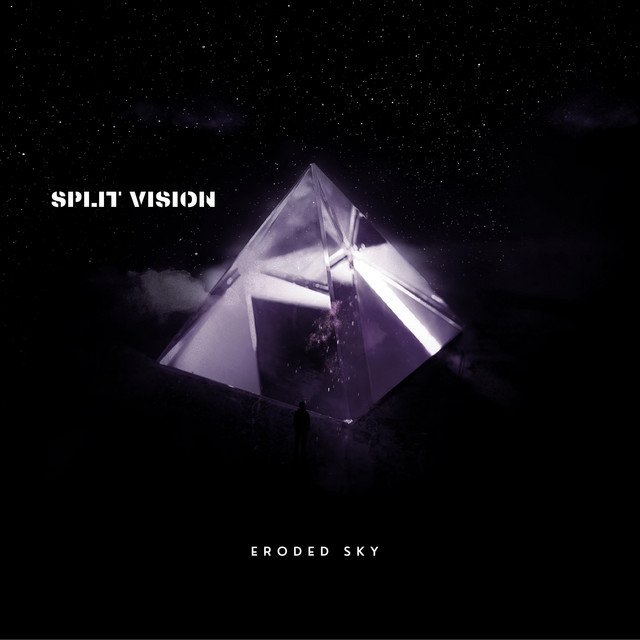 Split Vision cover art