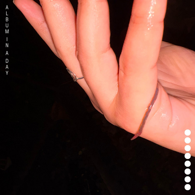 ALBUM IN A DAY VIII cover art