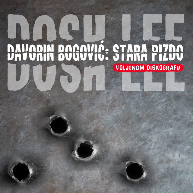 Davorin Bogović