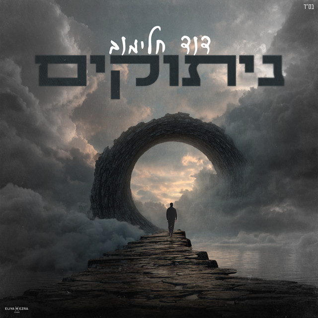 ניתוקים cover art